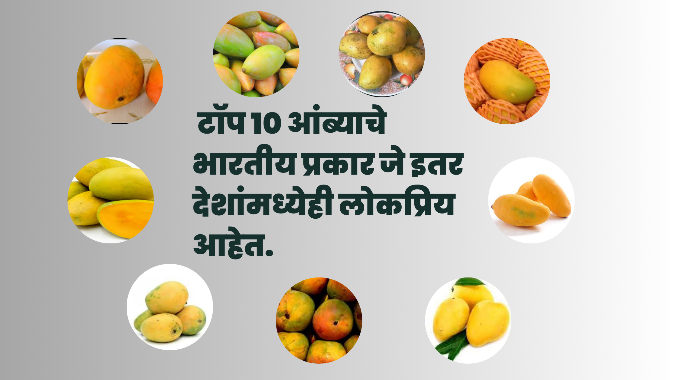 भारतातील हे टॉप 10 आंब्याचे प्रकार जे इतर देशांमध्येही लोकप्रिय आहेत: Famous indian mango varieties.