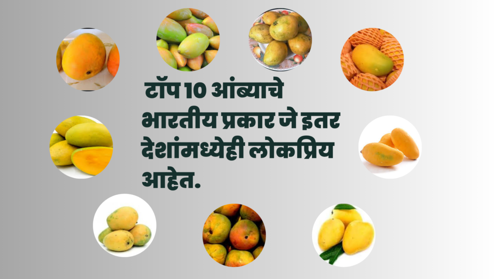 Famous indian mango varieties.