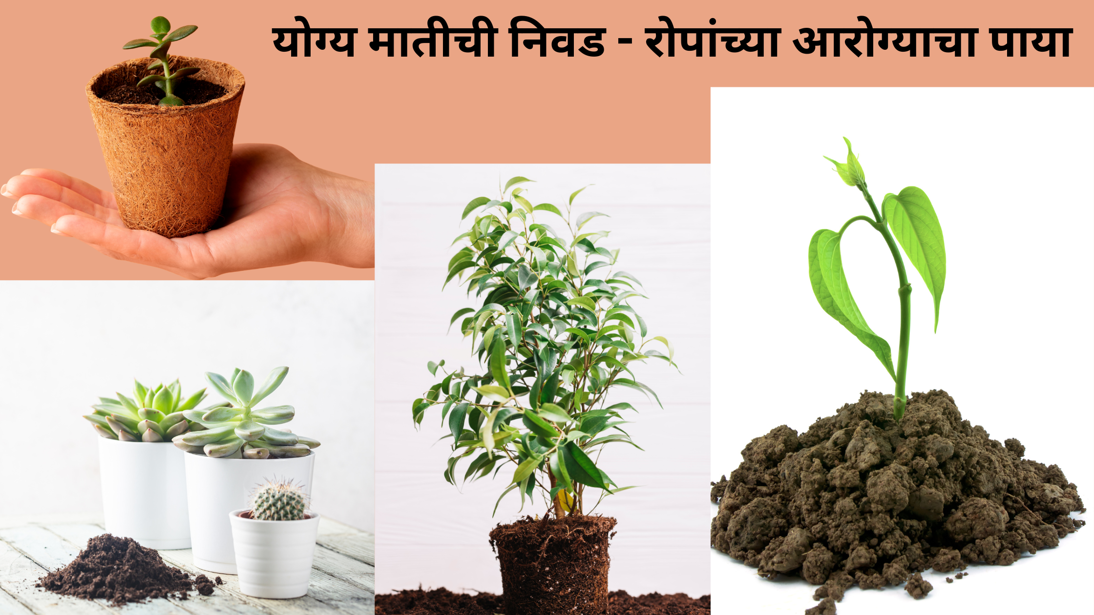 योग्य मातीची निवड – रोपांच्या आरोग्याचा पाया