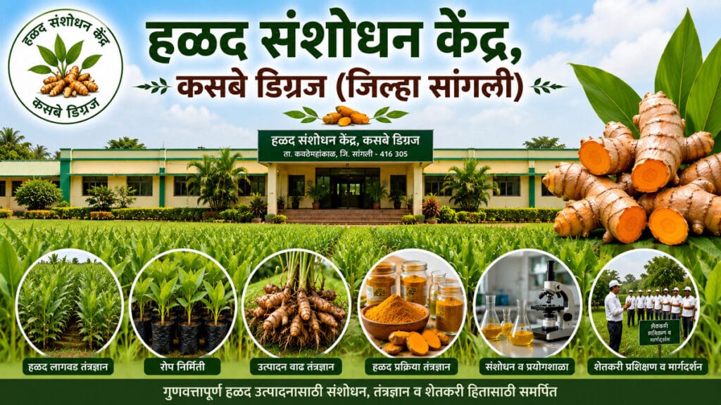 हळद संशोधन केंद्र, कसबे डिग्रज (जिल्हा सांगली)
