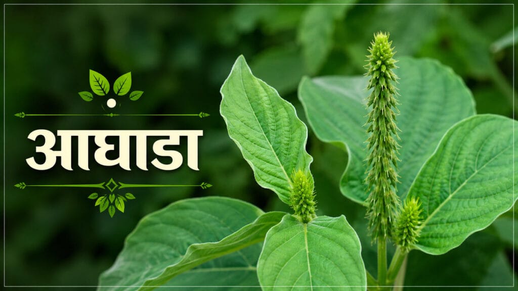 पावसाळ्यातील रानभाज्या