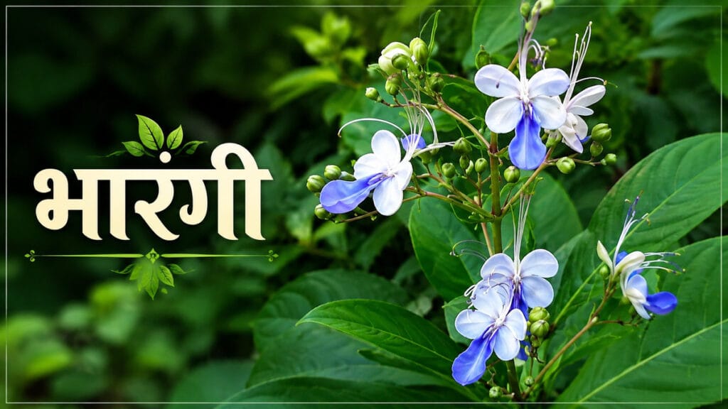 पावसाळ्यातील रानभाज्या: