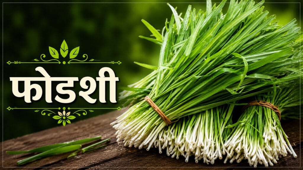 पावसाळ्यातील रानभाज्या