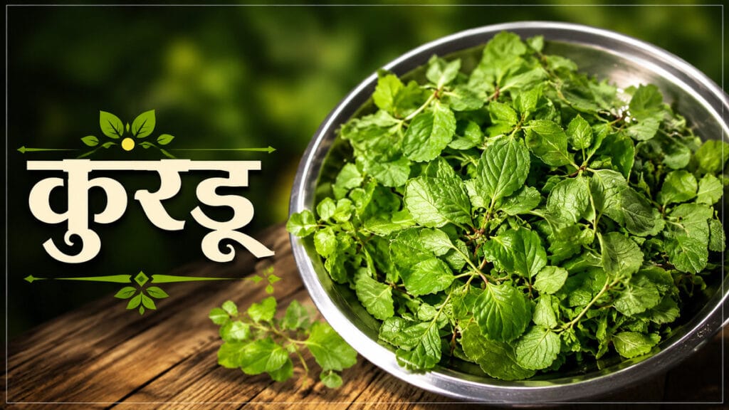 पावसाळ्यातील रानभाज्या