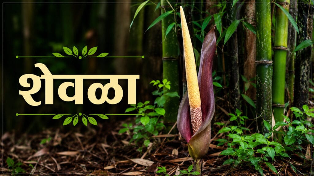 पावसाळ्यातील रानभाज्या