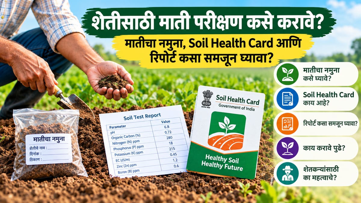 शेतीसाठी माती परीक्षण कसे करावे? मातीचा नमुना, Soil Health Card आणि रिपोर्ट कसा समजून घ्यावा?